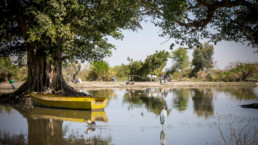 NPB.Shots - Ethiopian Lake 2